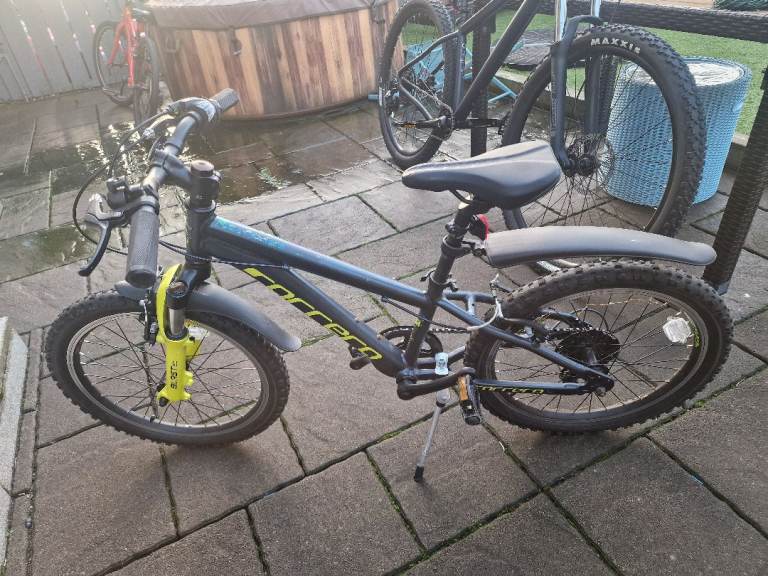 image for Carrera bike