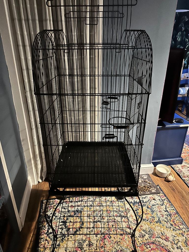 Bird cage 