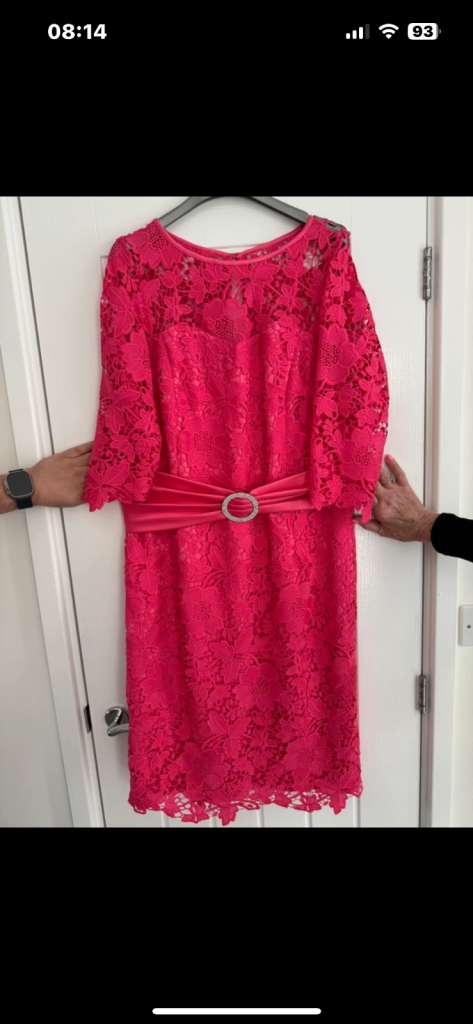 Luis Civit Pink Lace Dress Size 16