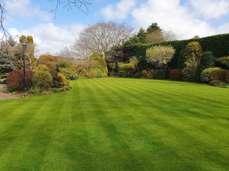 Gardener, Falkirk Garden maintenance 