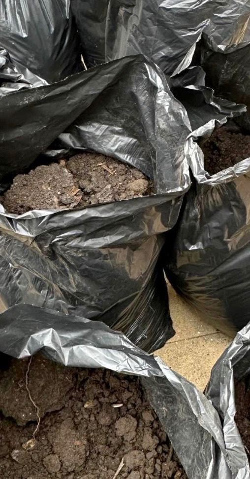 FREE SOIL