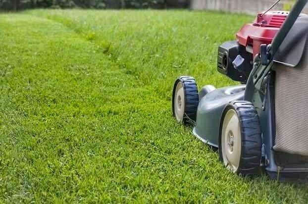 Grass cuts 