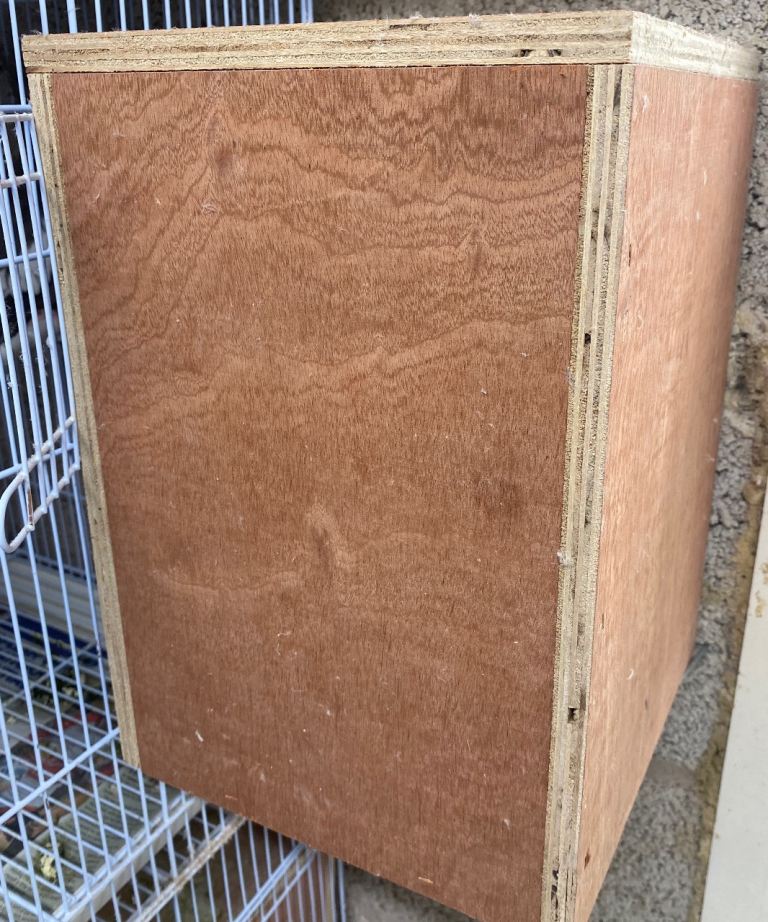 Parakeet nest box
