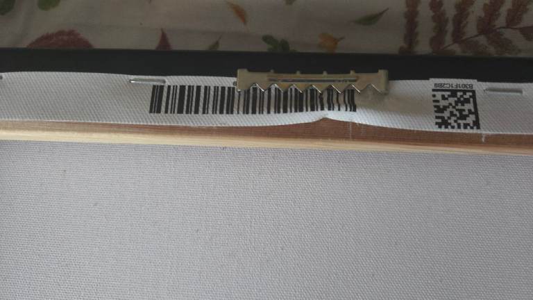 "Chloe McCoo" by Scottish artist Steven Brown. 16" x 16"