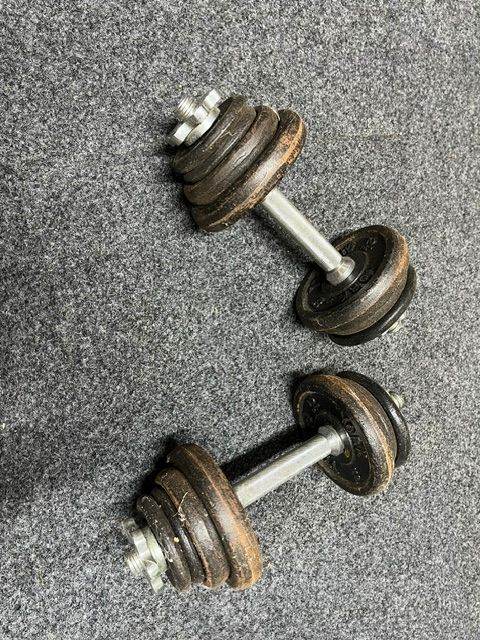 Dumbbell Weights x 2 