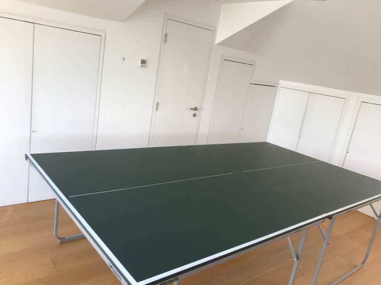 BUTTERFLY COMPACT table tennis table with net, paddles and balls 