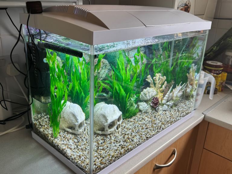 Tropical Fish Tank 
