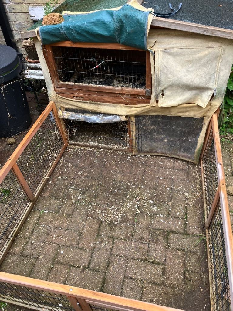 Rabbit/Guinea Pig Hutch