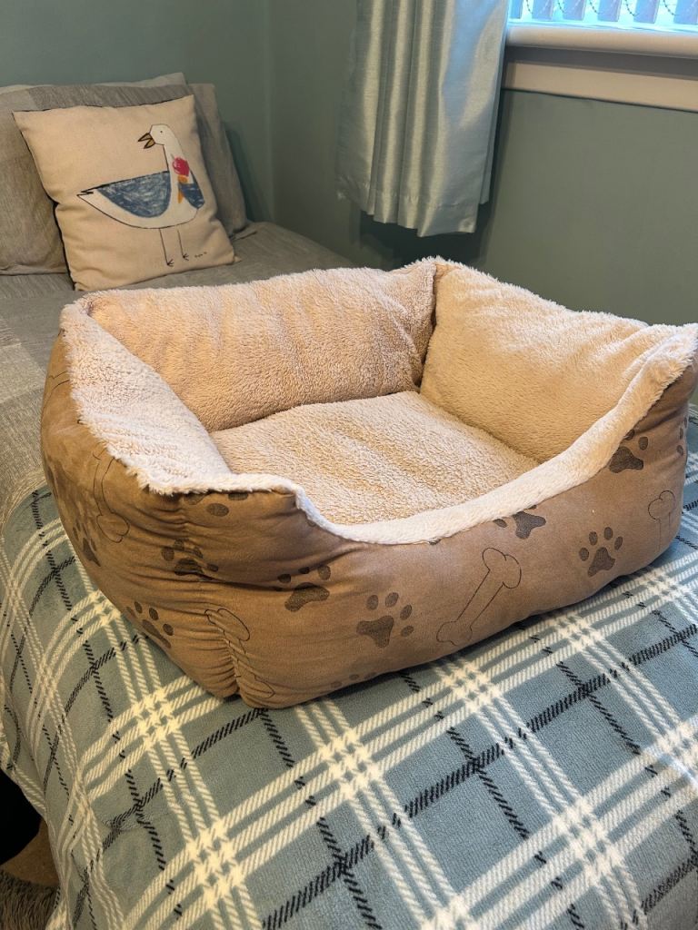 Dog Bed For Sale