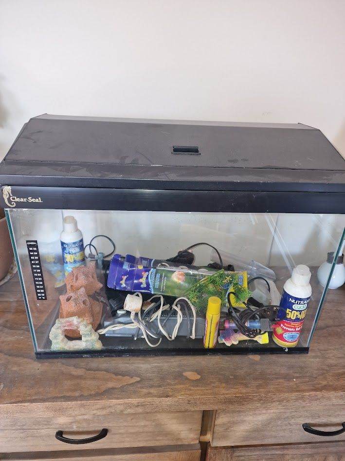 Aquarium and accessories