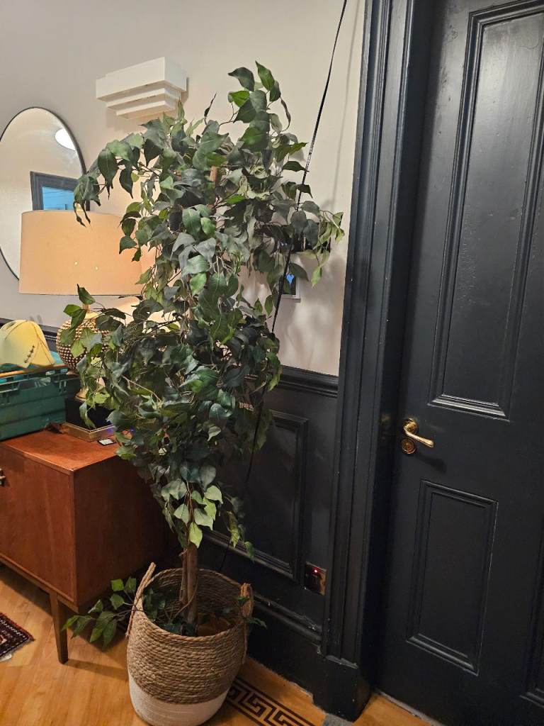Large artificial plant 
