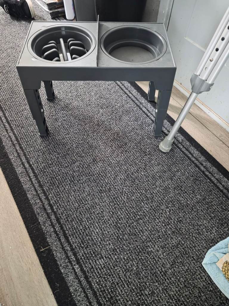Dog bowl stand slow feeder