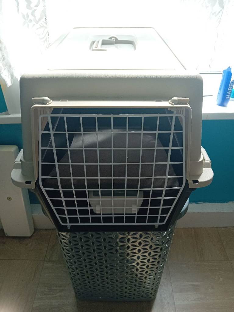 Medium size pet carrier Used once
