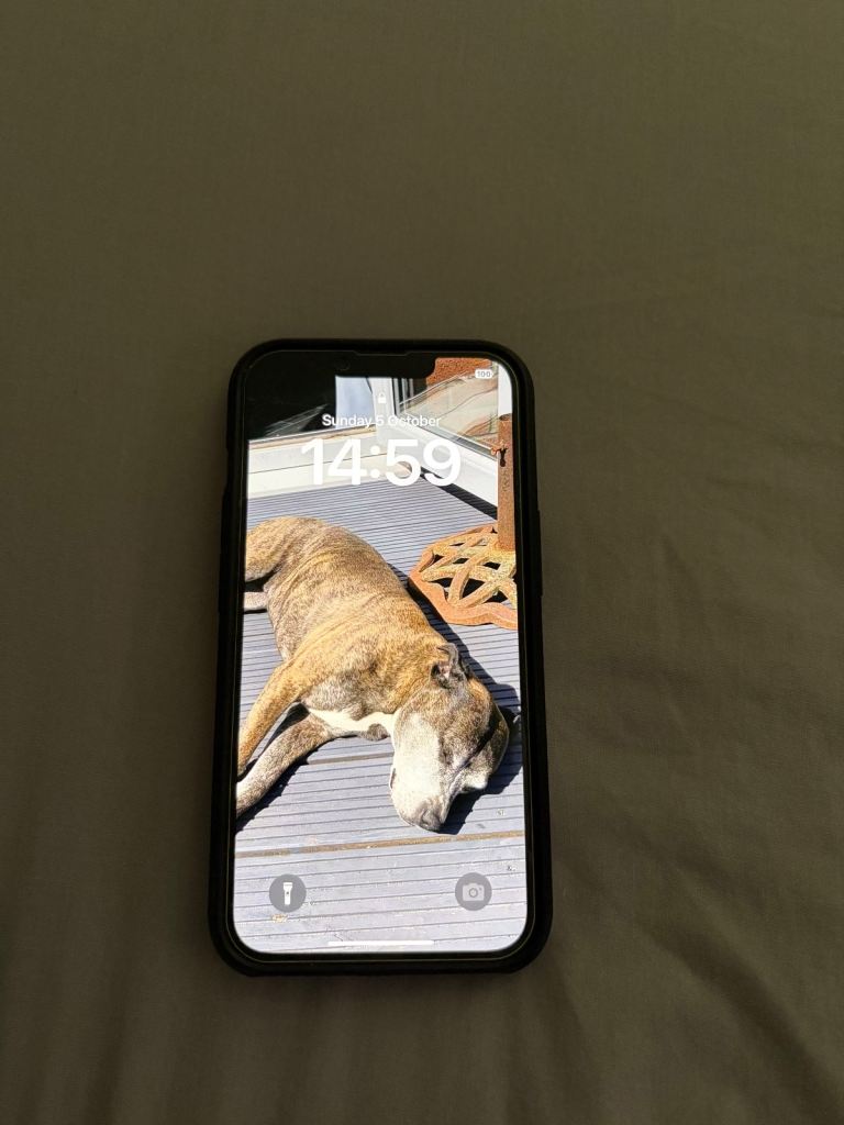 Used iPhone 14 128GB