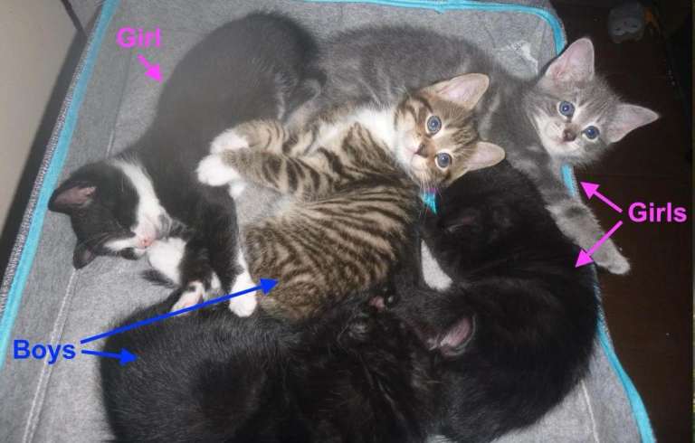 The one charming black boy is still available.