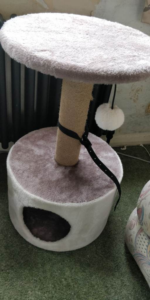Cat play centre