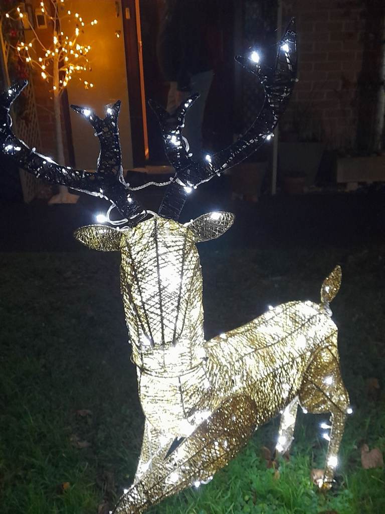 Christmas garden decorations