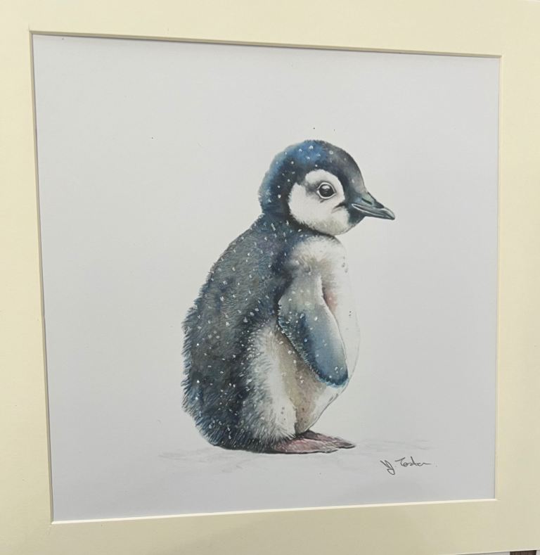 Hand Painted Framed Watercolour Art for Home Decor of Paula Penguin Chick