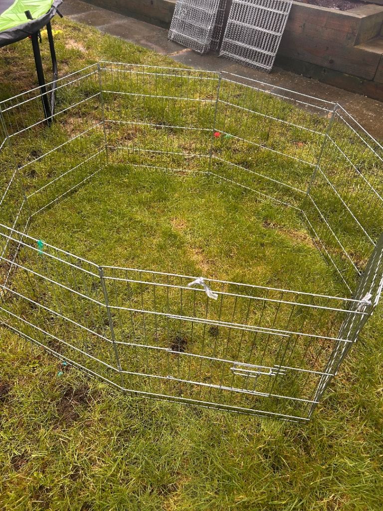 Metal play pen enclosure guinea pig, rabbit, small dog x 3 