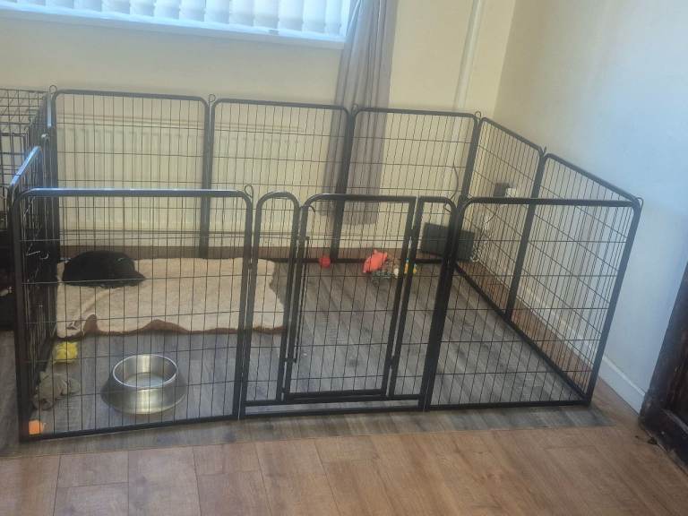 Dog play pen 