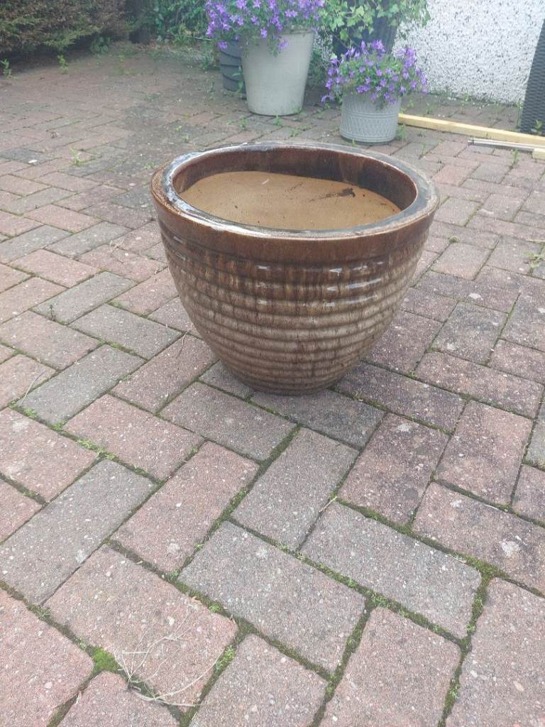 Lovely big brown plant pot.