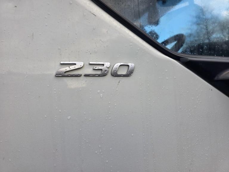 2019 DAF LF 230 18 TON GROSS 4X2 with Hyvalift Skip Gear