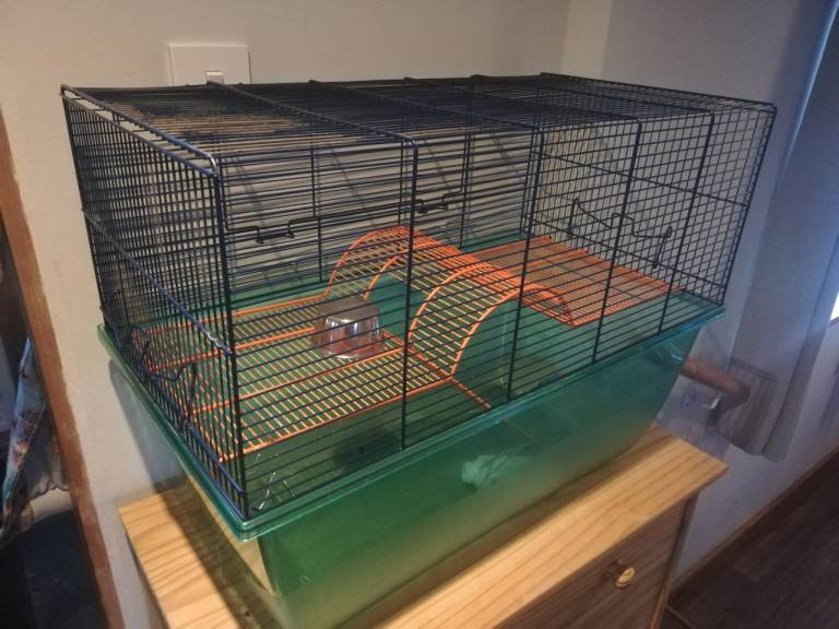 Hamster cage