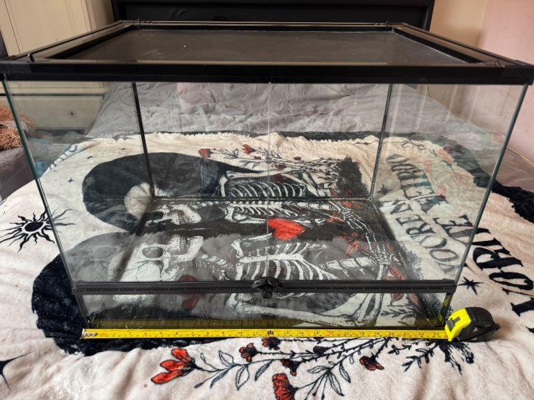 Komodo glass terrarium 