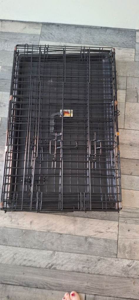 Large dog crate 