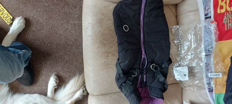 Various dog harnesses 