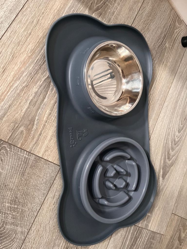 Slow feeder dog bowl