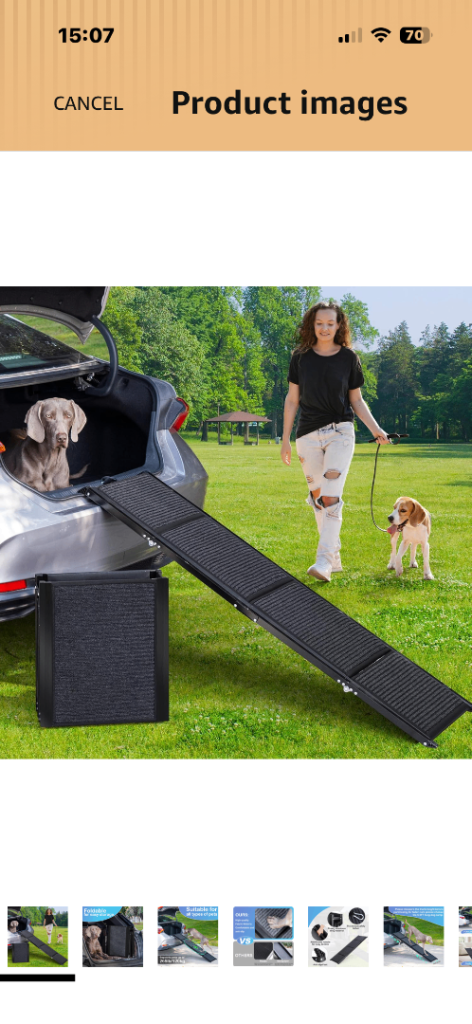 Large Dog ramp 