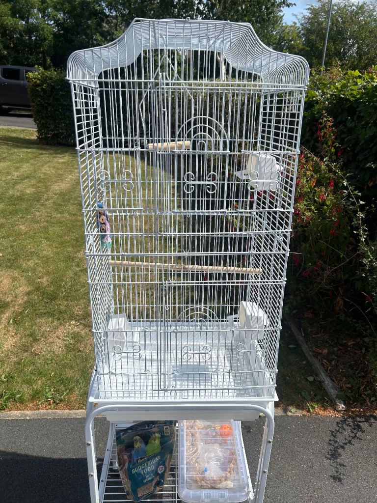 Bird cage