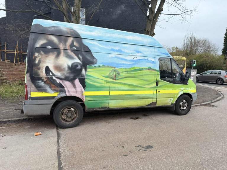 Ford, TRANSIT, Panel Van, 2008, Manual, 2402 (cc)