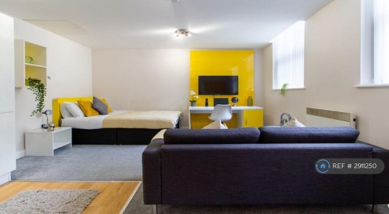 Studio flat in Millstone Place, Leicester, LE1 (#2911250)