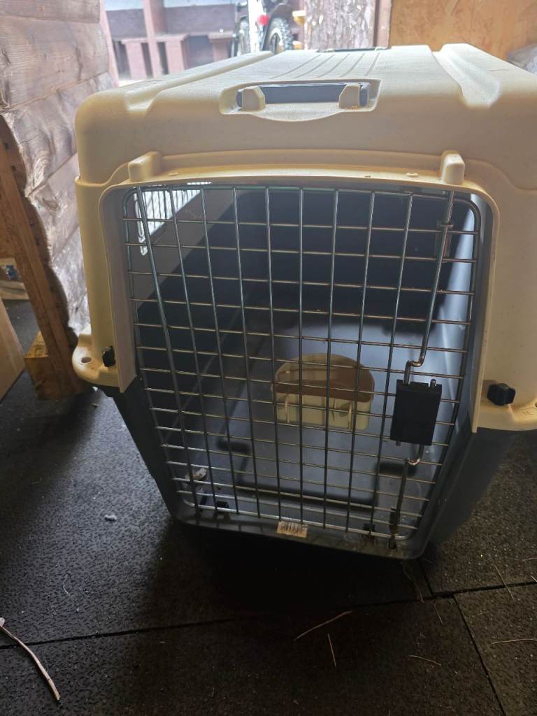 Dog carrier 