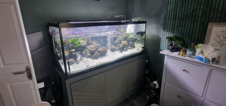 Large aquarium 