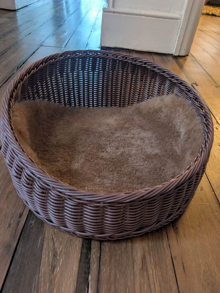 Lightweight brand new cat/small dog bed with sheepskin insert