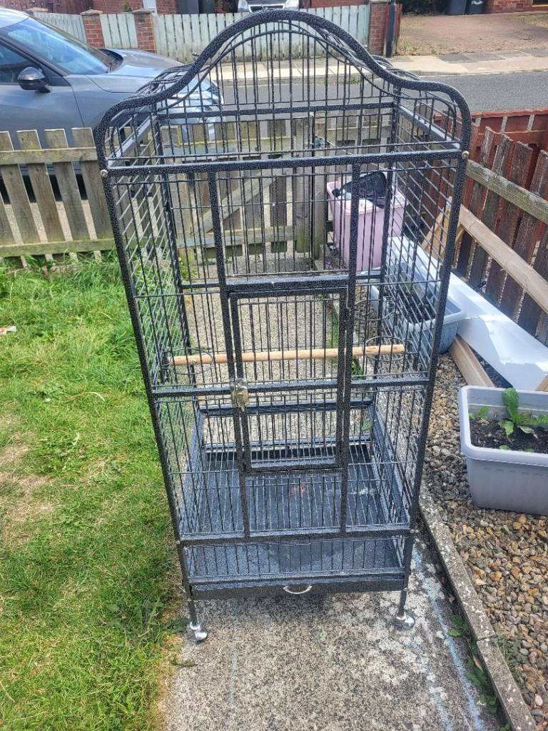 Parrot cage