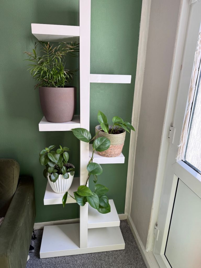 Dwell shelv with plants