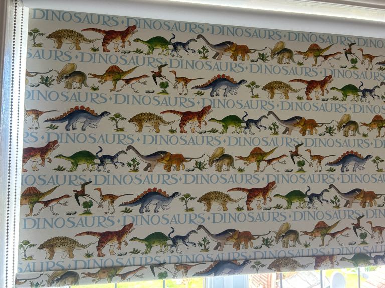 Emma Bridgewater Dinosaur Blind 🦖 