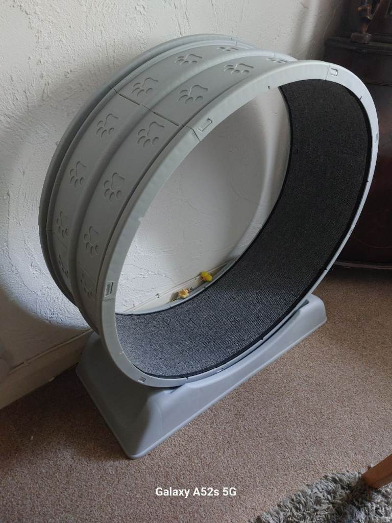 Cat wheel 