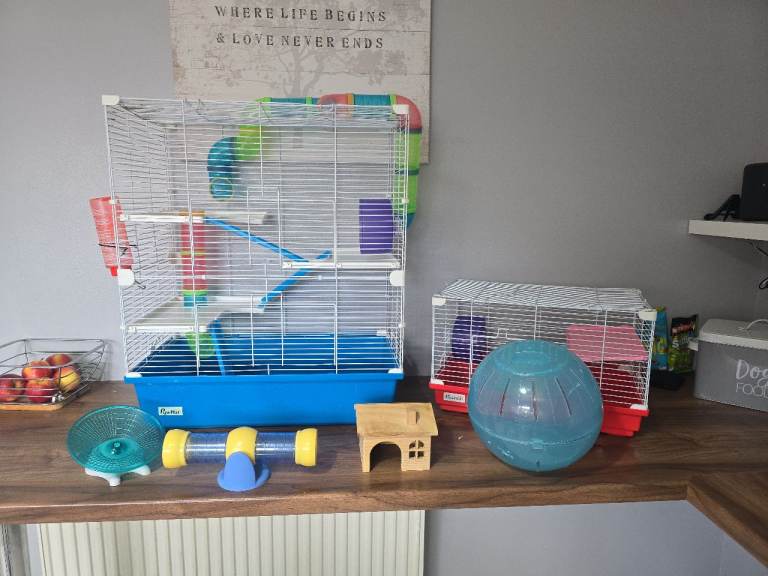 Hamster Cages