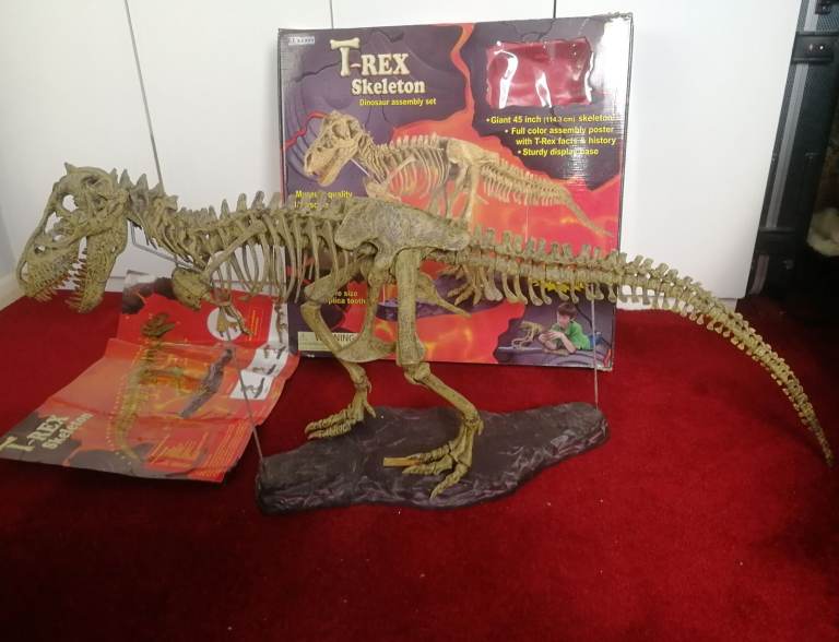 T-REX SKELETON 45"long Dinosaur Model kit 1/10 Scale Building STEM by B.C. Bones