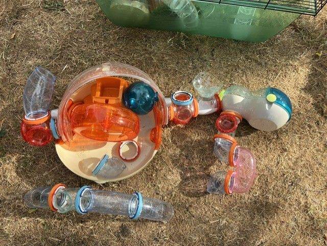 Hamster Ovo Habitrail den and bits and pieces - free