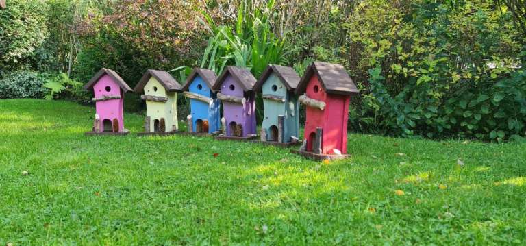 Bird Boxes ( Various Colours )