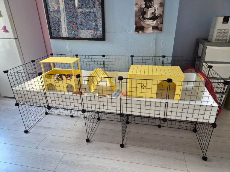 5x2 c&c cage