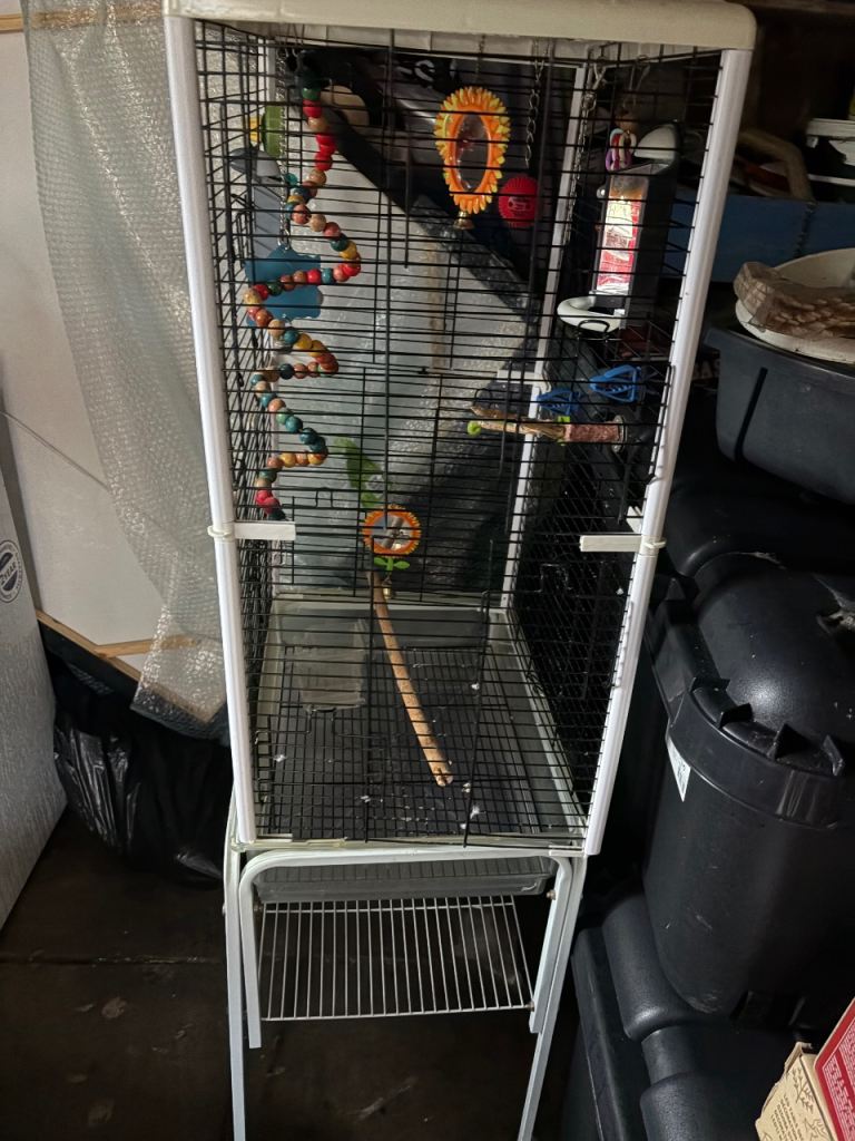 Budgie cage