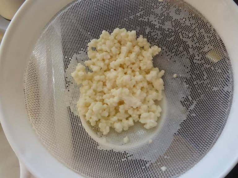 Natural Kefir Grains