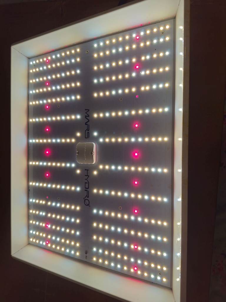 Grow equipment Bargain price, Excellent reuslts